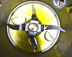 Step <p>●Colocar el vaso en la Thermomix vacío y añadimos 60 g aceite de olivas extra y 2 dientes de ajo poner el cubilete en la tapa del vaso de la Thermomix y pique 5 seg vel 6</p><p>●Baje los restos de la paredes del vaso con la espátula </p><p>●Añade 1 cucharadita de hojuelas de chili seco y 50 g de vino blanco seco y añadimos 150 g salsa de cocida(almejas)</p><p>●Coloque la cesta encima de la tapa del vaso y caliente 6 min/120°/vel 3 </p><p>●Mientras tanto sacar 3/4 de las almejas de su concha y reservar 1/4 por decorar</p><p>●Añadir las almejas sin concha en el vaso de Thermomix, coloque la cesta encima de la tapa del vaso y caliente 3 min/120°/ giro inverso/vel 1</p> illustration