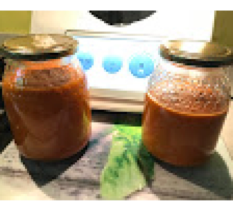 SALSA DE PIMIENTOS ROJOS (DIETA DISOCIADA)